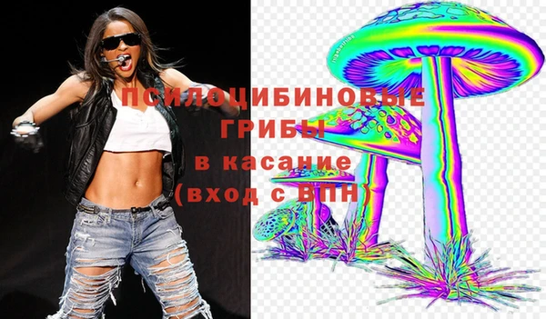 шишки Новозыбков