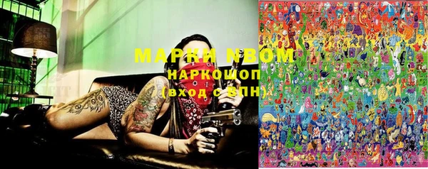PSILOCYBIN Няндома