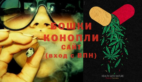 PSILOCYBIN Няндома