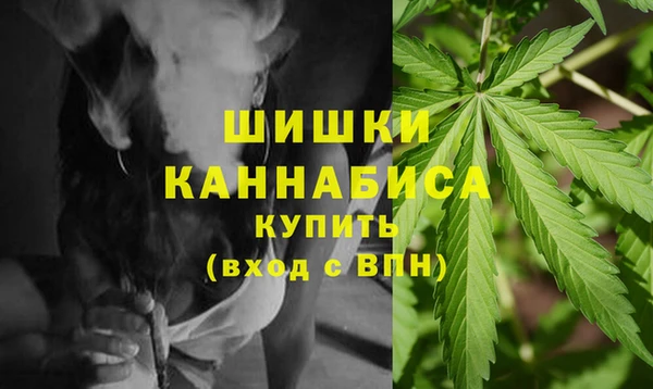 гидра Гусиноозёрск