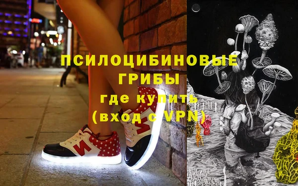 ECSTASY Нязепетровск