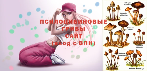 ECSTASY Нязепетровск