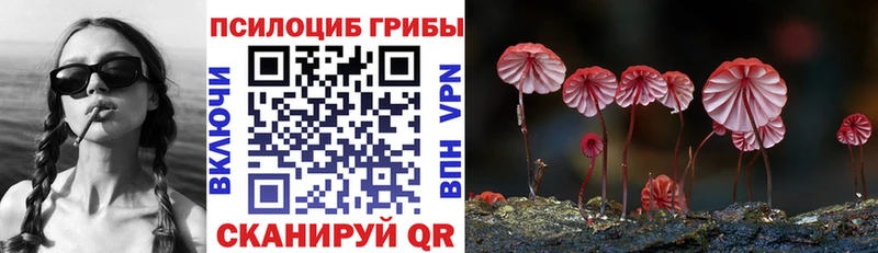 наркотики  маркетплейс какой сайт  Псилоцибиновые грибы GOLDEN TEACHER  Новохопёрск 