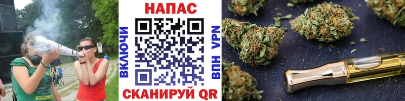 Бошки марихуана семена Новохопёрск